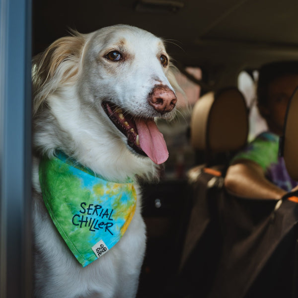 Cheap dog hot sale bandanas