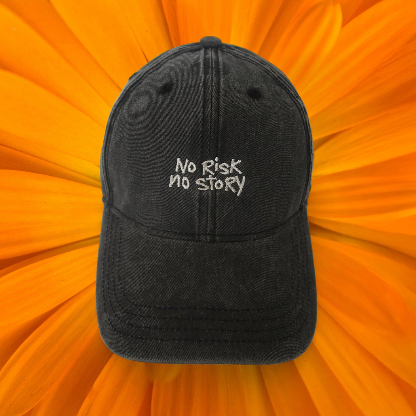 NO RISK NO STORY